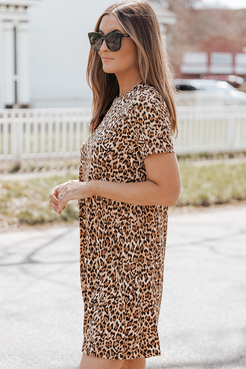 Leopard Print Short Sleeve A-line Mini Dress